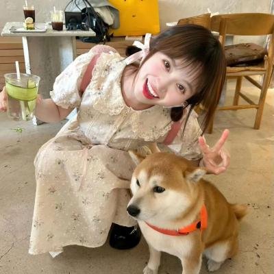 瑶台仙韵
